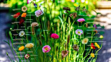 Un assortiment de différentes fleurs représentant chaque mois de l'année.