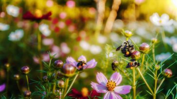 Un jardin fleuri avec des abeilles butinant de fleur en fleur.