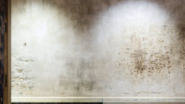 Un mur intérieur avec des taches d'humidité visibles.