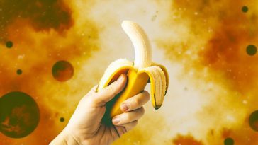Une main qui tient une banane fraîchement pelée.