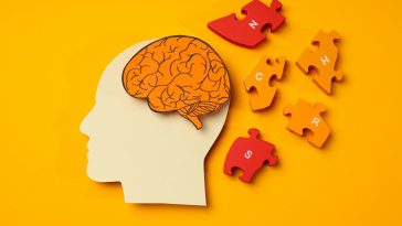 Les 10 premiers signes d'Alzheimer à ne pas ignorer : agir pour prévenir et accompagner