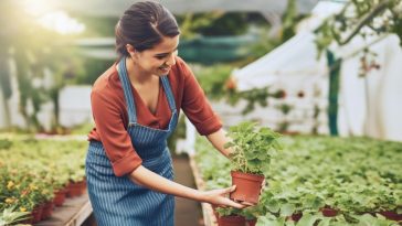 Votre plante va mal : Découvrez les 10 signes révélateurs et comment y remédier