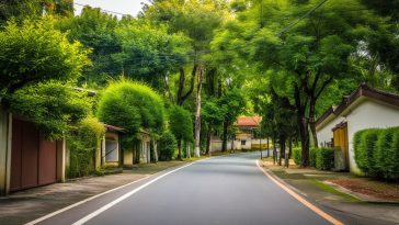 Les arbres à éviter absolument près de votre maison : découvrez les raisons