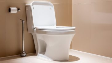 Économisez des milliers de litres d'eau grâce à cette astuce simple pour les toilettes