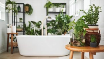 4 plantes incontournables pour apporter une touche de verdure à votre salle de bain