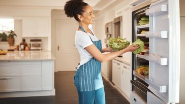 Les secrets pour garder votre salade fraîche et croquante dans votre frigo