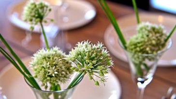 Sublimez vos plats avec la fleur de ciboulette : le secret pour épater vos invités !