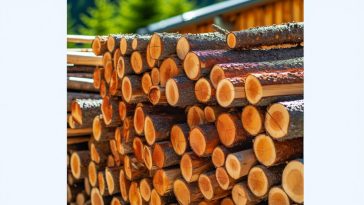 Des bûches de bois empilées en plein air pour sécher.