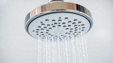 Comment détartrer un pommeau de douche sans effort - Guide pratique
