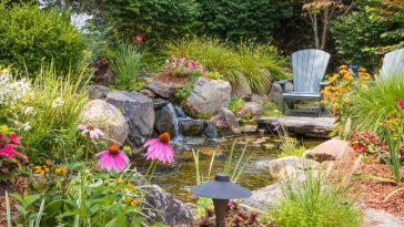 7 gestes essentiels pour protéger votre jardin quand le thermomètre s’affole