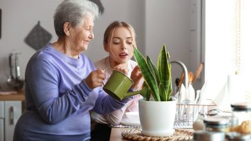 7 secrets de grand-mère pour protéger vos plantes pendant les fortes chaleurs