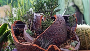 Pots en terre cuite fendus ? Voici 3 façons surprenantes de les transformer en déco de jardin