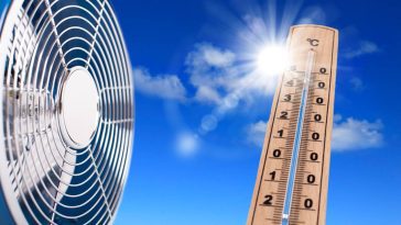 Refroidir votre maison sans clim : cette vieille astuce oubliée fonctionne encore mieux qu’un climatiseur