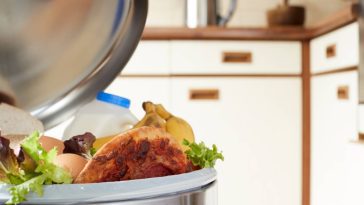 Adieu les mouches dans la cuisine : ces deux épices font des miracles dans la poubelle