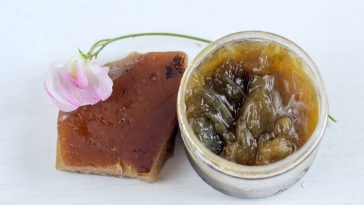 Inutile de pulvériser des pesticides : ce savon miracle chasse pucerons et parasites durablement