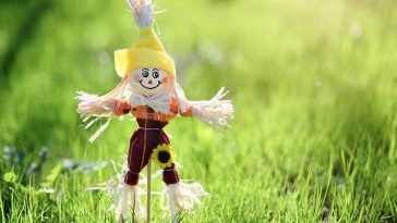Protégez vos semis des oiseaux affamés avec ces 7 techniques simples mais terriblement efficaces