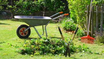 De retour chez vous ? Découvrez ces 7 actions vitales pour rattraper un jardin complètement négligé