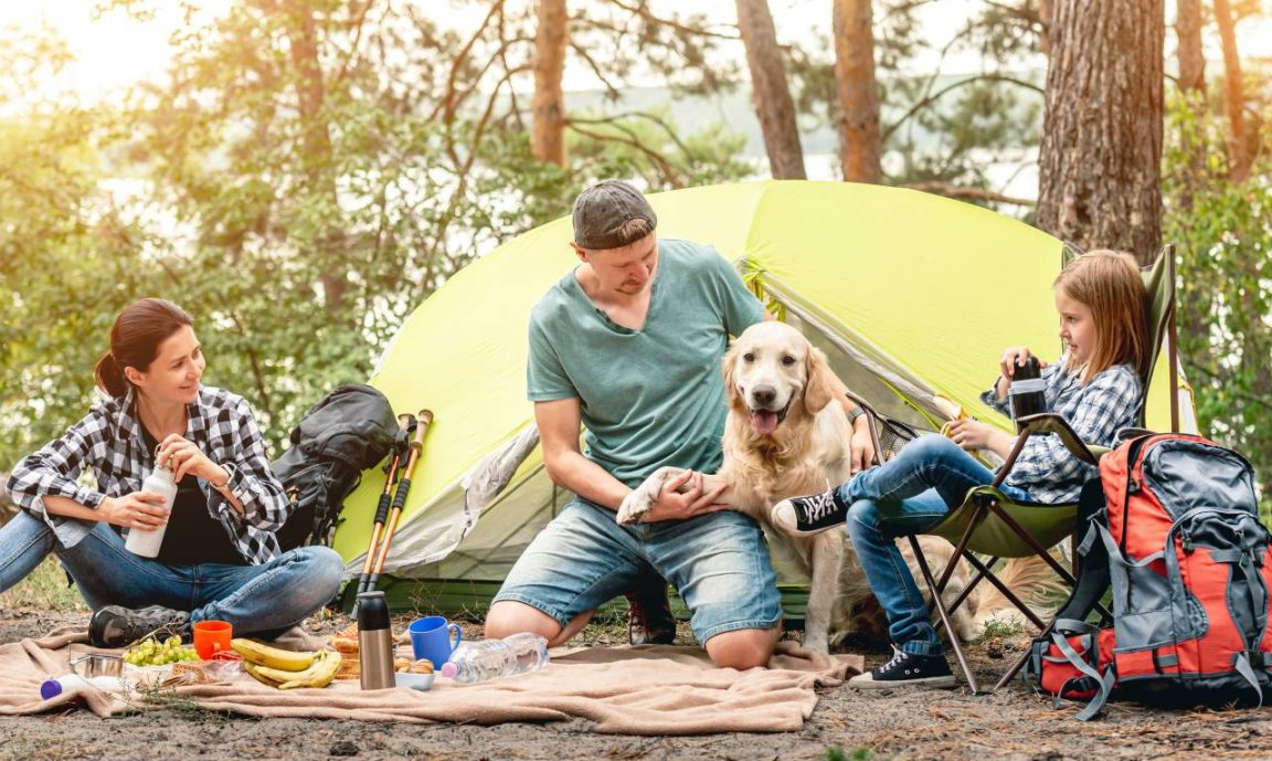 Pique-nique et camping : tout ce qu'il faut emporter pour manger confortablement en plein air