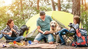 Pique-nique et camping : tout ce qu'il faut emporter pour manger confortablement en plein air