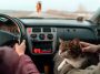 Vous partez en voiture avec votre chien ou votre chat ? Ces conseils indispensables vont tout changer pour vos trajets