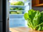 Faut-il mettre la salade au frigo ? La réponse dépend de ce que vous achetez