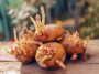 Vos pommes de terre ont germé ? Voici surtout ce qu’il ne faut pas faire