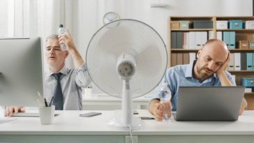 Canicule au travail : les nouvelles règles qui changent la donne pour les entreprises