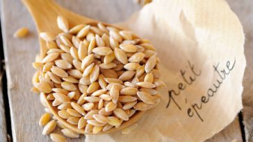L'épeautre, cet ingrédient oublié qui envahit aujourd'hui les rayons bio