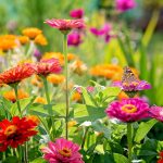 Les 7 fleurs en pot qui poussent le plus rapidement : résultats garantis en quelques semaines
