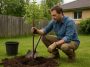 planter un arbre dans son jardin