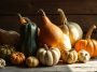 4 choses que vous ne saviez (vraiment) pas sur les courges