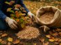 Paillage d’automne : cette pratique protège-t-elle vraiment le jardin avant l’hiver ?