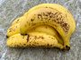 Ne rangez plus vos bananes n’importe comment : cette méthode permet de ralentir leur mûrissement
